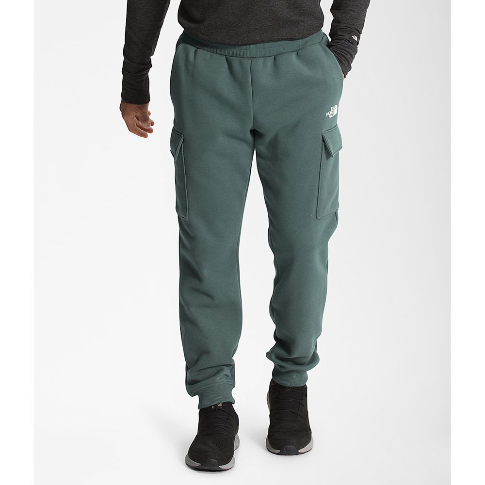 The North Face Pants Mens Australia - The North Face Coordinates Green (NRI-480591)